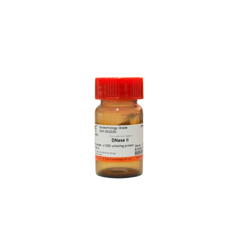 DNase II